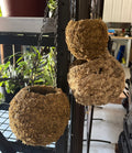 Moss Hanging Planters