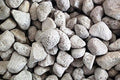 Pumice Large1 1/4 X 3/4