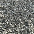 The Organic Recycler Compost