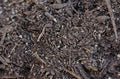 Texas Pure Products - Powerful Potting Mix