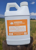 Fermented Pumpkin Extract - 1 Gallon