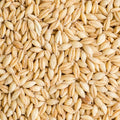 Whole Barley
