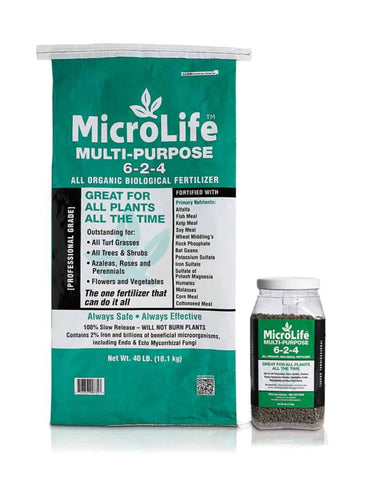 Microlife 6-2-4
